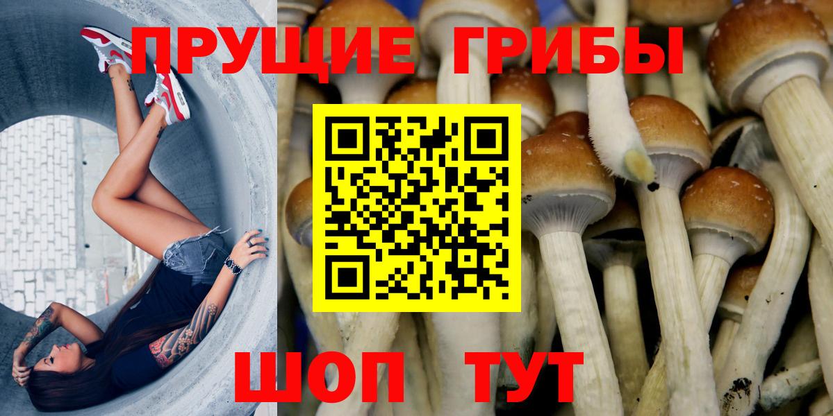 Галлюциногенные грибы мухоморы  Вход с VPN  Дедовск 