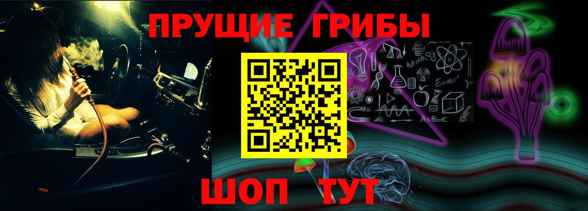 Псилоцибиновые грибы Psilocybine cubensis Дедовск